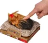 Perfekt Petzzz Little York Welpe 13 cm Produktbild-Vorschau 4