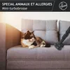 A cat is lying on a sofa next to a vacuum cleaner attachment. Produktbild-Vorschau