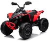 Can Am Renegade Elektro Kinderquad 12V 4x4 (3–7 Jahre) – Produktbild-Vorschau 1