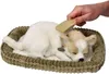 Chrapiący szczeniaczek Chihuahua Perfect Petzzz Podgląd zdjęcia produktu 1