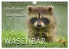 Waschbär - Niedlicher Allesfresser (Wandkalender 2027 DIN Produktbild-Vorschau 1