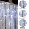 Hellum 565140, Průhledná, 24 žárovek, 3000 mm Náhled obrázku produktu 4