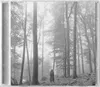 folklore (Deluxe Edt.) Produktbild-Vorschau 2