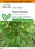 SAFLAX - Garden in the bag - Wapień-Bambus - 50 Nasiona - Z Podgląd zdjęcia produktu 1