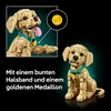 LEGO® Icons 11384 Golden Retriever Welpe Produktbild-Vorschau 10