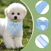 Bandana pour chien - 30 cm - Bleu Voir les images du produit 3