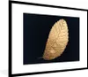 MuchoWow® Gerahmtes Poster Gold - Blätter - Schwarz - Produktbild-Vorschau 1