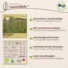 Samenliebe  Roggen Samen | Winterroggen - winterhart - Produktbild-Vorschau 3