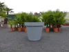E&K Übertopf grau Ø 80 cm Pflanztopf Blumentopf Pflanzkübel Produktbild-Vorschau 4