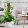 Moosstab Pflanzenstütze 4er Set 61cm, Rankhilfe für Produktbild-Vorschau 2