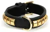 Collier pour chien Gloria Duna Noir Doré (50 x 2,5 cm) Voir les images du produit 7