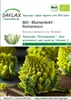 Artikelbild 1 von 'BIO Blumenkohl Romanesco' aus der Kategorie Blumenkohlsamen Náhled obrázku produktu