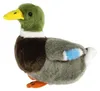 Plüschtier Ente 18 cm, Stofftier Plüschtiere Kuscheltiere Produktbild-Vorschau 6