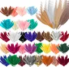 88888verschiedene Farben Farbwahl Produktbild-Vorschau 2