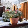 LED Gartenstecker Stern 2er Set mit Timer - 66 x 23 cm - Produktbild-Vorschau 5