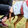 Non-stop dogwear Hundejacke Trekking Fleece Jacket Produktbild-Vorschau 9