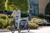 Rimorchio per biciclette Avenida ONE Anteprima dell’immagine prodotto 3