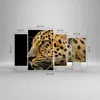 Bild auf Leinwand - Leinwandbild - Tiere Leopard wilde Produktbild-Vorschau 3