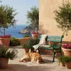 Gartenbank Curacao | 2-Sitzer | Grün | HxBxT 85x115x60cm | Produktbild-Vorschau 2