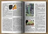 Das verlorene Buch der Kräuterheilmittel: Die heilende Produktbild-Vorschau 3