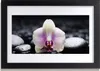 Bild 30x20 MDF-Rahmen Wandkunst Blume Orchidee Pflanze Produktbild-Vorschau 1