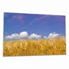 Wallario Herdabdeckplatte aus Glas, Größe 80 x 52 cm Produktbild-Vorschau 1