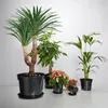 Garronda Blumentopf GD-0025 (20 Stück - Schwarz, ⌀ 35cm Produktbild-Vorschau 4