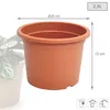 Prosperplast PLASTICA vaso da fiori in terracotta 20 cm Anteprima dell’immagine prodotto 7