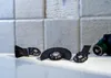 Bosch 2607017324 Bosch Prom 3-tlg. PMF-Set für Fliesen Voir les images du produit 6