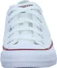 A close-up, front-facing view of a white Converse sneaker. Voir les images du produit
