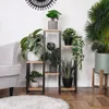 A collection of artificial plants displayed on a multi-tiered plant stand next to a chair and a rug. Anteprima dell’immagine prodotto