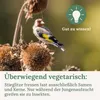 Orni Stieglitz Super 5kg | Schmackhaftes ganzjähriges Produktbild-Vorschau 6