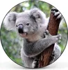 Design Stahlmagnettafel Schwarz Rund 47cm Koala Produktbild-Vorschau 8