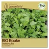 Samenliebe  Rauke Samen | Salatrauke - samenfestes  Saatgut Produktbild-Vorschau 1