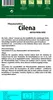 Artikelbild 3 von 'Pflanzkartoffel Cilena (10 Stück) (gelb, festkochend, mittelfrüh/mittelspät)' Produktbild-Vorschau