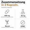 Ashwagandha KSM-66 Kapseln Hochdosiert – 600mg Produktbild-Vorschau 4