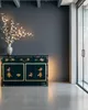 Fine Asianliving Cassettiera cinese Credenza cinese Anteprima dell’immagine prodotto 3