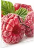 Wanduhr aus Glas mit Motiv Frische Himbeeren- 30 x 30 cm - Produktbild-Vorschau 2