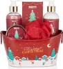 BRUBAKER Cosmetics Kúpeľová a sprchová súprava Winter Berry Náhľad obrázku produktu 4