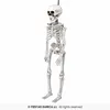 Decoración de Halloween con forma de esqueleto, Vista previa de la imagen del producto 12