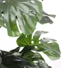 Mica Decorations Plante artificielle Monstera - 80x80x60 cm Voir les images du produit 6