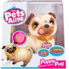 The image shows the retail packaging of a plush toy dog, a Poppy Pug, with the toy visible inside. Voir les images du produit