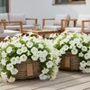 Rattan Pflanzkorb 2er Set – Blumentopf / Übertopf Kubu Grau Produktbild-Vorschau 12