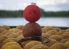 Carp Food Perfection Pop-Up 16mm/70g Pacifická Sardinka Náhled obrázku produktu 5