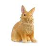Schleich Farm World Löwenkopfkaninchen         13974 Produktbild-Vorschau 1