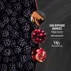 Woodwick Trilogy Sun Ripened Berries 275 g Produktbild-Vorschau 8