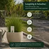 Rzodkiewka łąkowa (Festuca arundinacea), waga: 1 kg, Podgląd zdjęcia produktu 5