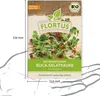 Artikelbild 4 von 'BIO Keimsprossen Ruca-Salatrauke' aus der Kategorie Keimsprossen Produktbild-Vorschau