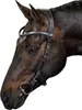 PS of Sweden Trense Helsinki Trensenzaum Black Cob Produktbild-Vorschau 8