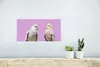 MuchoWow® Poster Sittiche - Zweig - Rosa 40x20 cm - Poster Produktbild-Vorschau 5